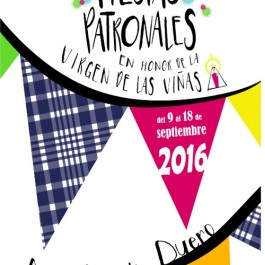 fiestas-virgen-vinas-aranda-duero-cartel-2016