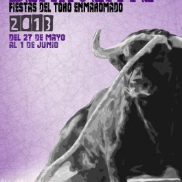 fiestas-toro-enmaromado-benavente-cartel-2013
