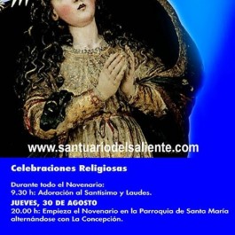 romeria-saliente-albox-cartel-2012