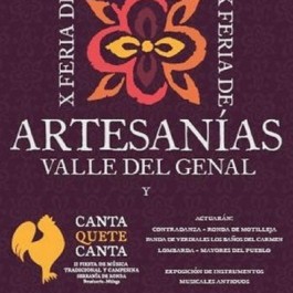 feria-artesania-valle-genal-benalauria-cartel-2008