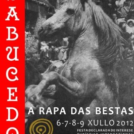 fiesta-rapa-bestas-sabucedo-cartel-2012