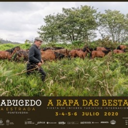 fiesta-rapa-das-bestas-sabucedo-cartel-2020