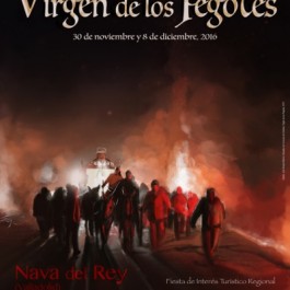 fiestas-virgen-pegotes-nava-rey-cartel-2012