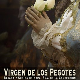 fiestas-virgen-pegotes-nava-rey-cartel-2017