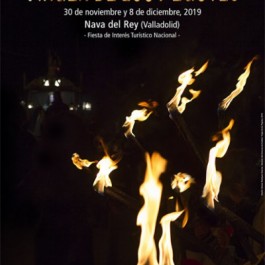fiestas-virgen-pegotes-nava-rey-cartel-2019