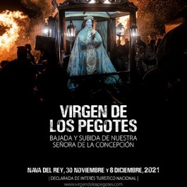 fiestas-virgen-pegotes-nava-rey-cartel-2021
