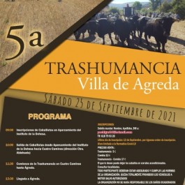 fiesta-trashumancia-villa-agueda-cartel2021